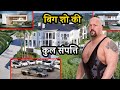 Big Show Net Worth | Lifestyle | Biography | House | Cars | Family |Property, Lifestory, Income