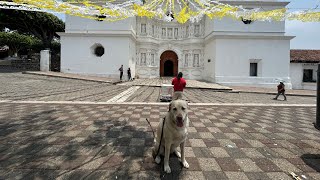Guatemalan And United States Governments Grant Access For My Dog’s Vacation