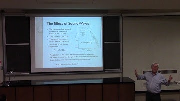 CITA 695: Redshift-Space Distortions in the Galaxy Distribution