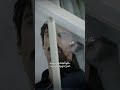 الخذاك وصار ناسك وانته ناسه 