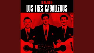 Video thumbnail of "Los Tres Caballeros - Momentos (Remastered)"