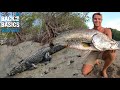 Crocodile Scare Fishing For HUGE BARRAMUNDI! 😨 (Ep: 18)