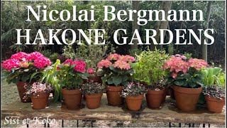 Nicolai Bergman HAKONE GARDENS ニコライ・バーグマン箱根ガーデン