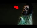 The Scariest Videos FOUND ONLINE 15