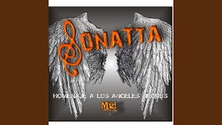 Video thumbnail of "Sonatta - Homenaje a los Angeles Negros"