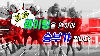 레이팅 얼마나 알고 계십니까? 레이팅 점수를 알아야 승부가 됩니다!!