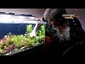Опыт Инны Николаевны запуска аквариума на Soil Prodibio