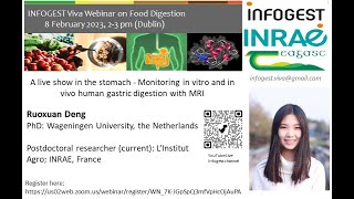 5th INFOGEST Viva Webinar on Food Digestion - Dr Ruoxuan Deng - Digestion monitoring with MRI screenshot 5