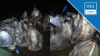 Sleeping In Plastic Bags North Cebu Residents Struggle After Quake Inqtoday