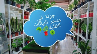 جولة في متجر النباتات   Plant shop tour skekhan flowers