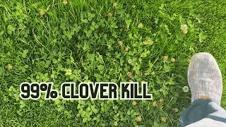 How To Kill Clover For Good Completely