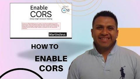 How to Enable CORS and FIX ACCESS-CONTROL-ALLOW-ORIGIN in asp.net core 7 API | 2024 course