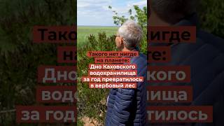 Вы ЭТО видели? Ужасы на дне Каховского водохранилища