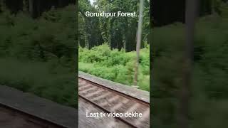 gorukhpur forest