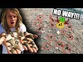 We Hit Shark Tooth JACKPOT!! (How To Find Shark Teeth In Florida) Megalodons