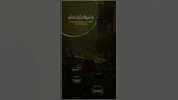 يا قوم إنما هذه الحياة الدنيا متاع وإن الآخرة هي دار القرار محمد المنشاوي رحمه الله 