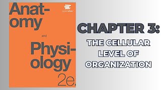 OpenStax Anatomy and Physiology 2e (Audiobook) - Chapter 3: The Cellular Level of Organization