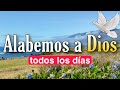 🕊 Alabemos a DIOS todos los días