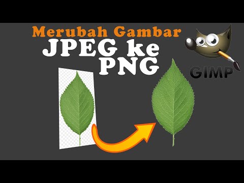 Video: Bisakah jpeg transparan?