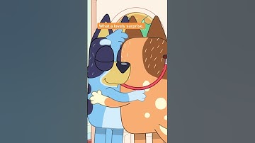Where does the time go? Bluey DisneyJunior