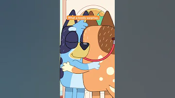 Where Does The Time Go Bluey DisneyJunior 