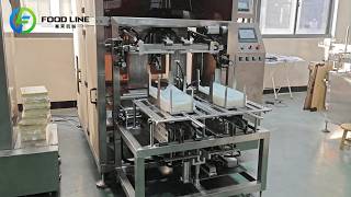 Double Chamber Automatic Vacuum Packaging Machine in Action