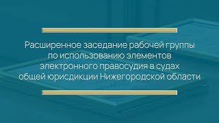 Заседание рабочей группы по использованию элементов электронного правосудия, 14 мая 2024 года