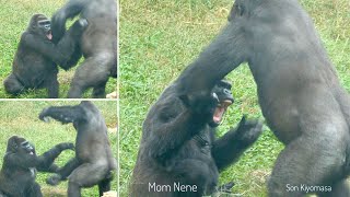 Gorilla Son Beats Mom Hard! | Mom Really Gets Mad At Annoying Son! | The Shabani Family