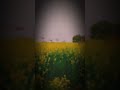 mere gao ka kheti ka editing