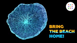 Artificial jellyfish @MELScience1
