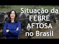 Situao da febre aftosa no brasil