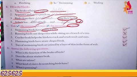 CLASS-4 CHAP-10 BEAKS AND CLAWS Q AND ANS