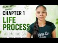 👍LIFE PROCESSES 🔥 | CLASS 10 BIOLOGY FULL CHAPTER REVISION 💯 | DON’T MISS THIS!