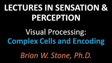 Sensation and Perception - Visual Processing Pt2 - Complex Cells and Encoding