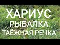 ХАРИУС, РЫБАЛКА,  ТАЁЖНАЯ РЕЧКА