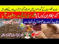 Wheat Price Today Gandam Rates 2025 CornрџЊЅPrice Munji Gundam Makki Kapas Rate Today Latestupdate Wheat Price Today Gandam Rates 2025 CornрџЊЅPrice Munji Gundam Makki Kapas Rate Today Latestupdate