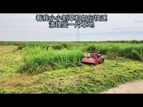 Watch It Clear Tall Roadside Grass in Seconds