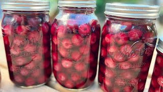 Easiest Way Of Canning Cherries  My Grandma Taught Me This