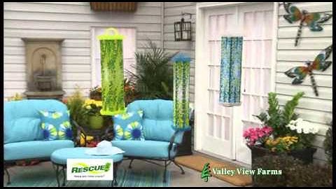 Sterling Rescue Stink Bug Trap