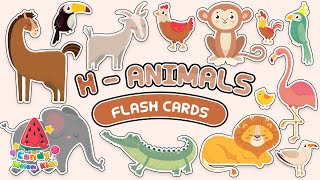 H   Animals Flash Cards  Video Flash Cards  Learn to Talk  Vocabulary in English