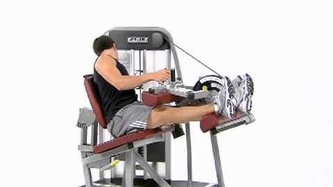 Bilateral Leg Curl - Cybex Eagle Seated Leg Curl