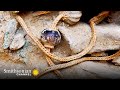 Archaeological Discoveries and Findings