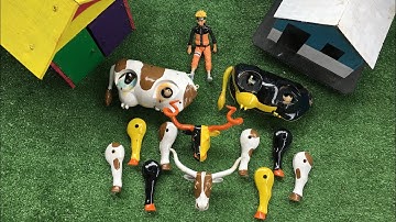 MERAKIT MAINAN SAPI, MENEMUKAN SAPI LUCU, SAPI WARNA WARNI, SAPI JOGET, SAPI KARTUN, SAPI MOO