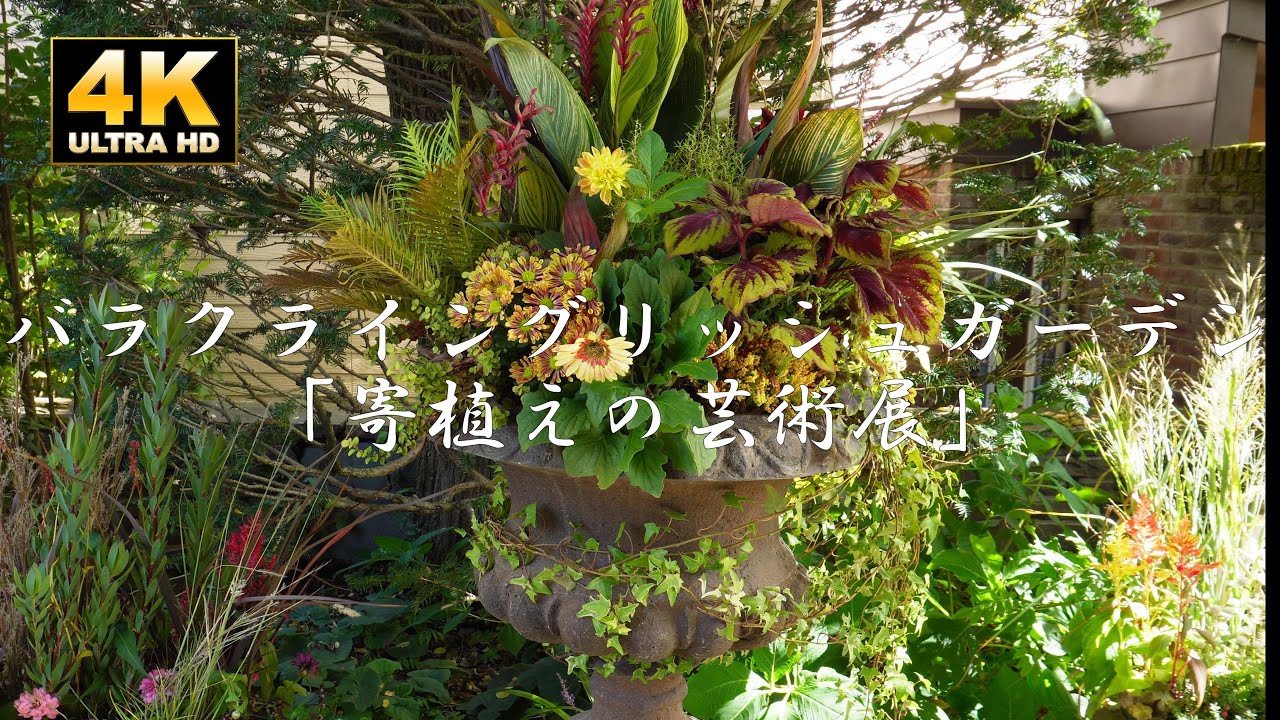 Barakura English Garden 