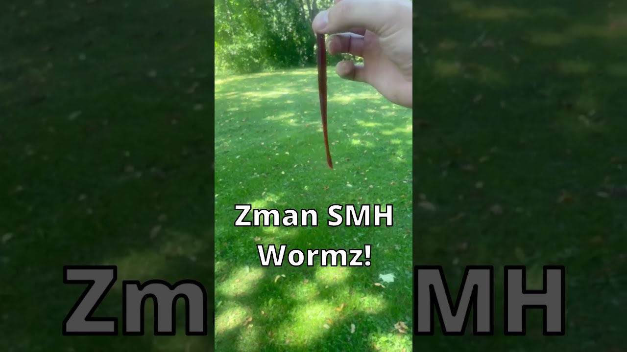 Would YOU Throw A Zman SMH Wormz Shorts
