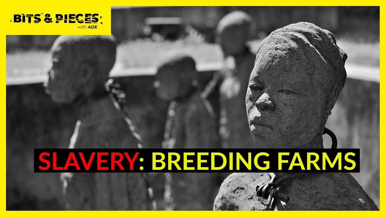 What is slave breeding farm? | Bits and Pieces