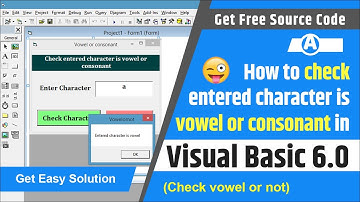 How to check entered character is vowel or consonant in visual basic 6.0 | Character is vowel or not