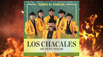 Orgullo Potosino- Pepe Tovar y Los Chacales