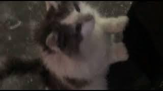 Ёлка - не брошу на полпути (slowed)