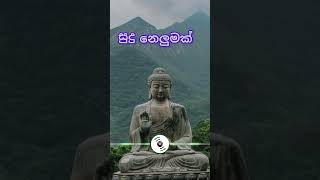 සුදු නෙලුමක් #music #viral